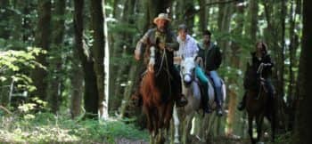 15368979928_46f17f8c41_k 15368979928_46f17f8c41_k