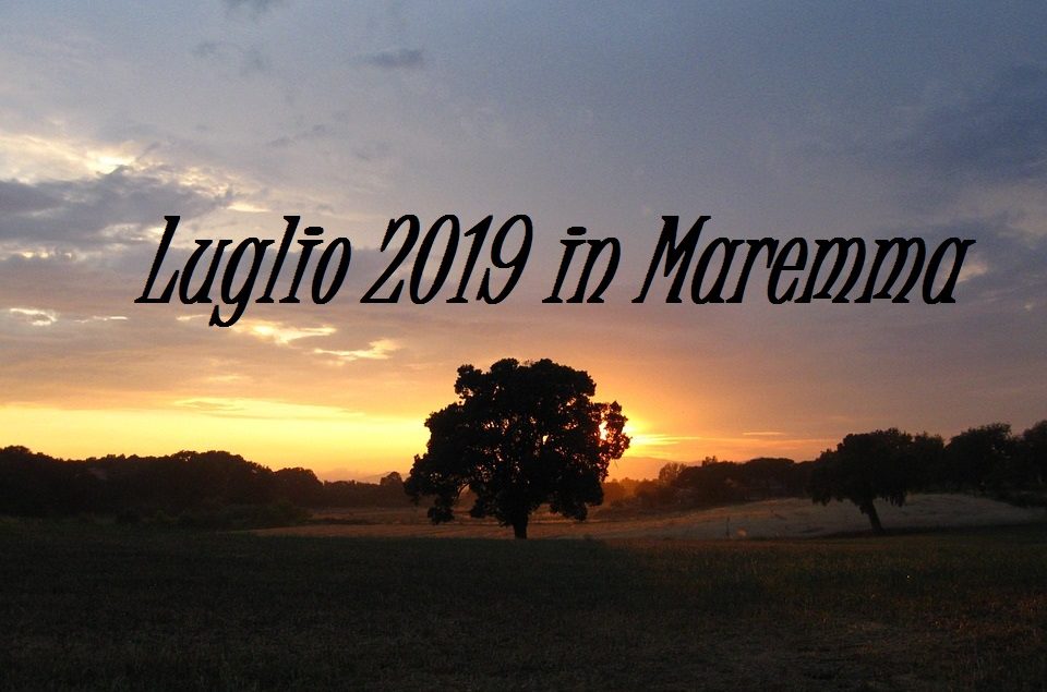 sunset 646208 960 720 960x635 - Luglio 2019 in Maremma